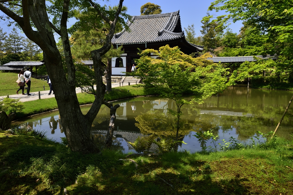 KYOTO SNAP
