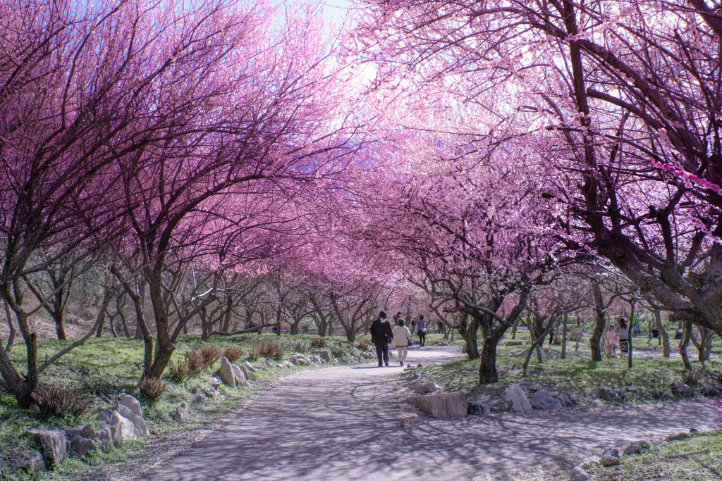 Spring Snap..