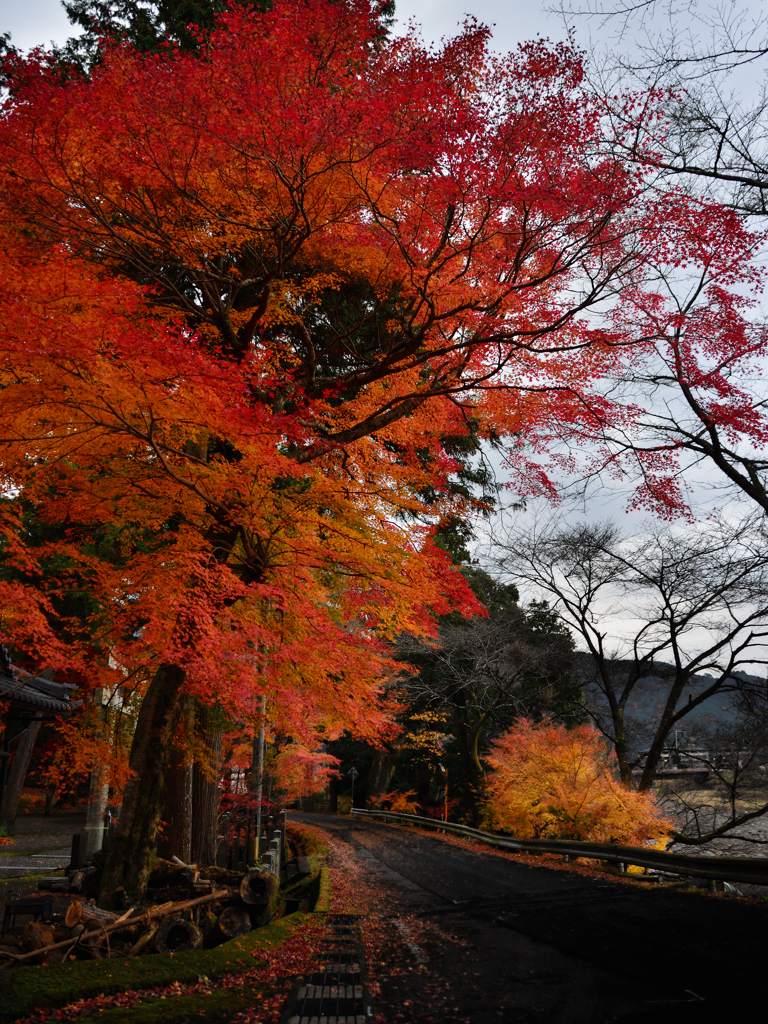 多良峡へ