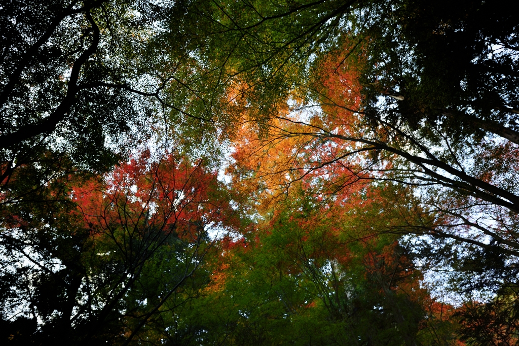 秋の時間、、