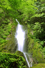 阿弥陀の滝