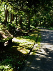 万博記念公園　日本庭園散策～④