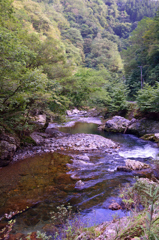 温井峠　越美山地緑の回廊　②