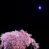 宇宙（ソラ）と桜゜