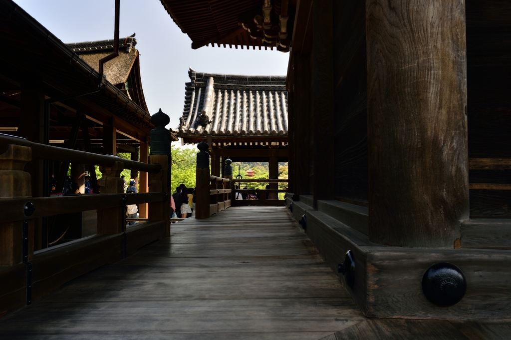 KYOTO SNAP