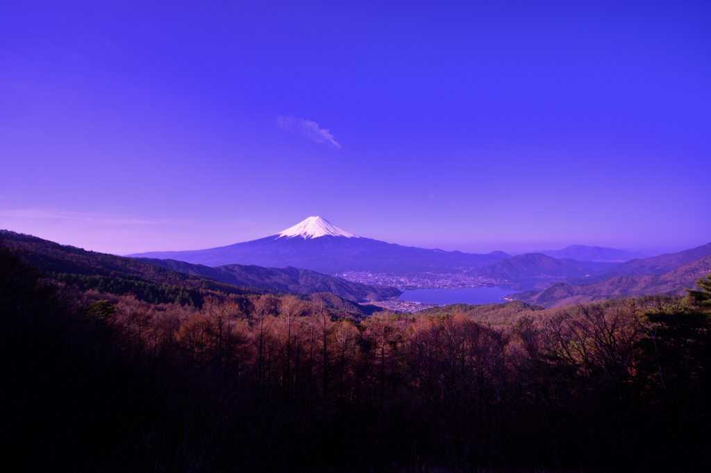 秘密の場所から