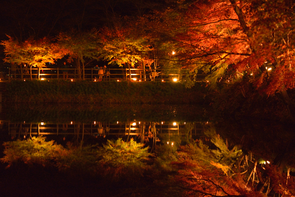 紅葉旅行、、家族で