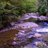 温井峠　越美山地緑の回廊　①