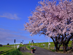朝の時間