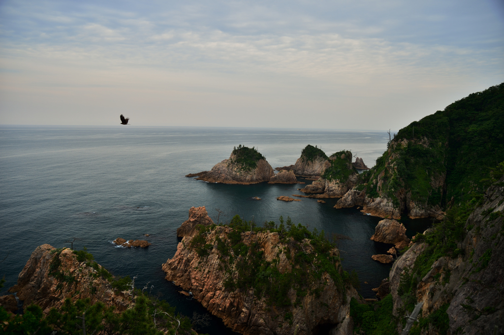 浦富海岸より