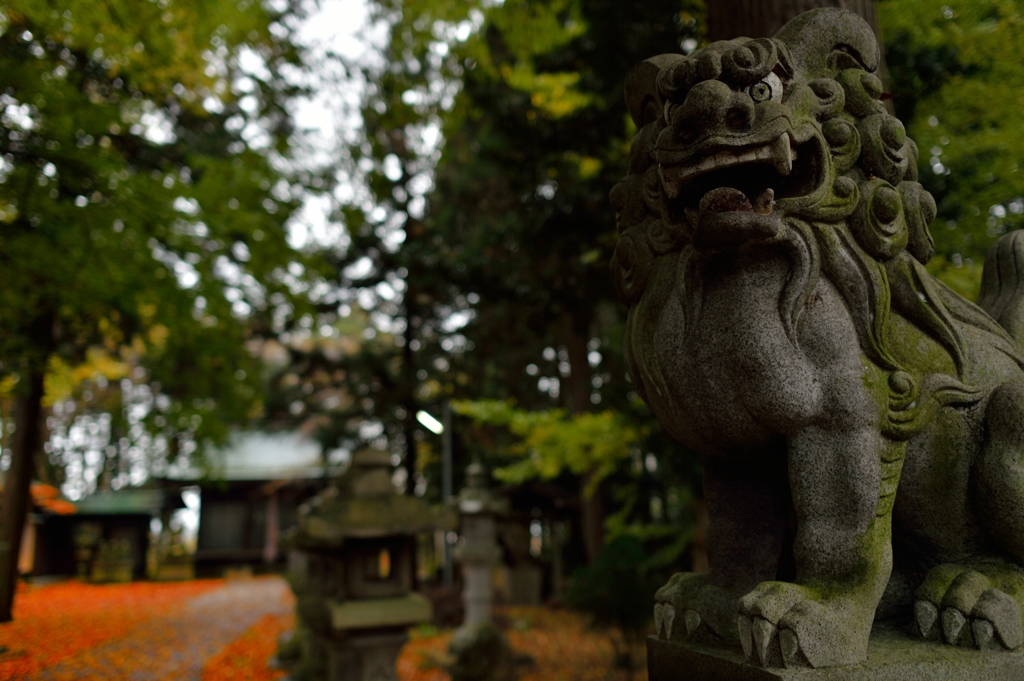 八幡さま、