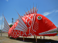 いつかの夏休み