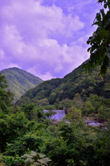 温井峠　越美山地緑の回廊　福井側より