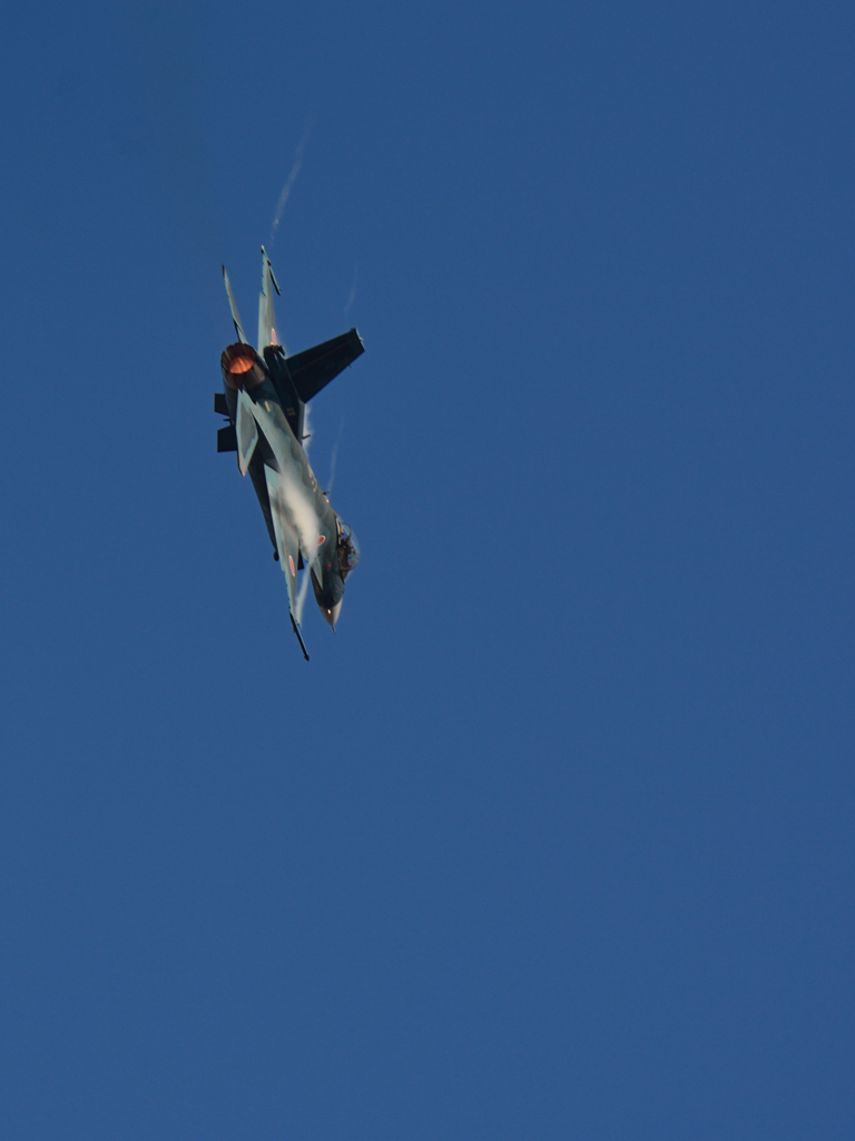 F-2A  VIPER ZERO..