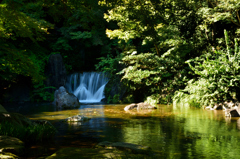 万博記念公園　日本庭園散策～⑤