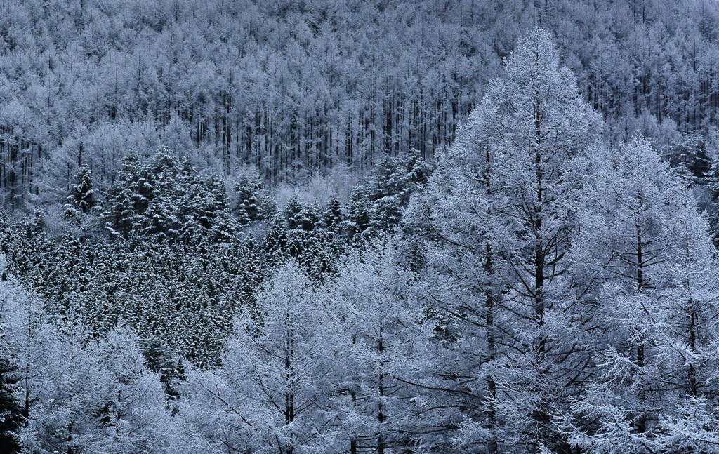Remaining snow