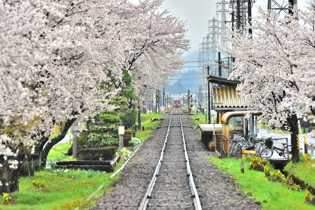 遠く　遠く