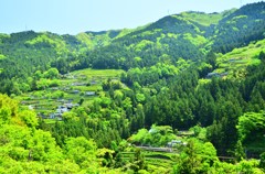 『秘境駅はほんとうに秘境だったの』巻