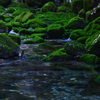 清らかなる水　湧きいずる沢