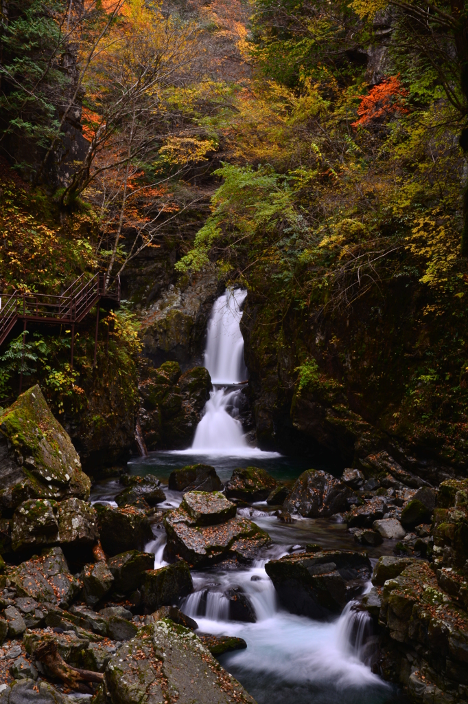 晩秋の水響