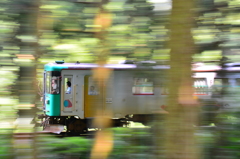木もれ陽ながし