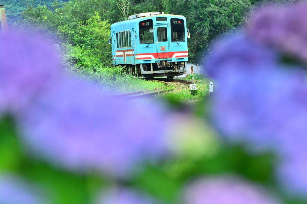 あじさい駅から