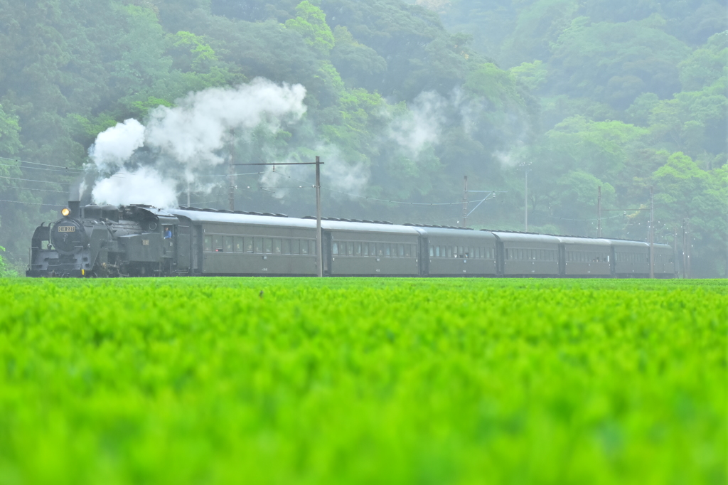 雨も近づく八十八夜