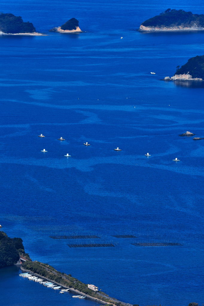 海が見たいと思いました。