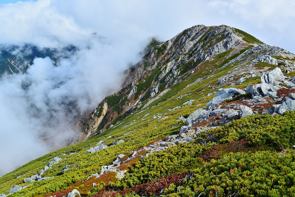 将棊頭山