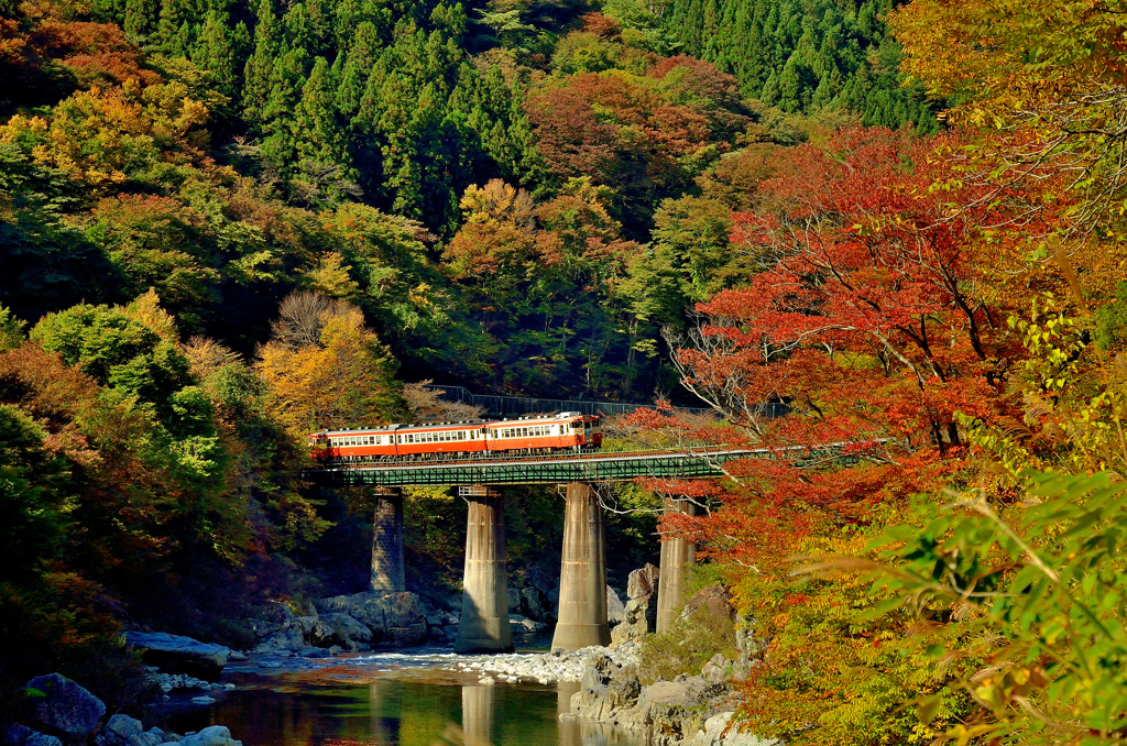 高山本線開通８０周年記念列車から