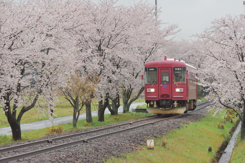 僕だけの指定席