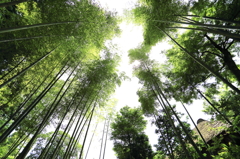 西山荘