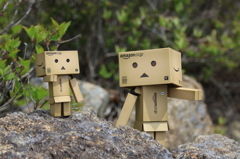 ダンボー親子の山のぼり