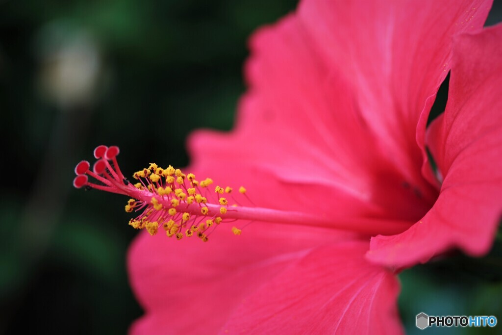 夏の兆し、、、。