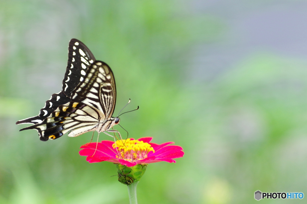 下に潜む、、、。