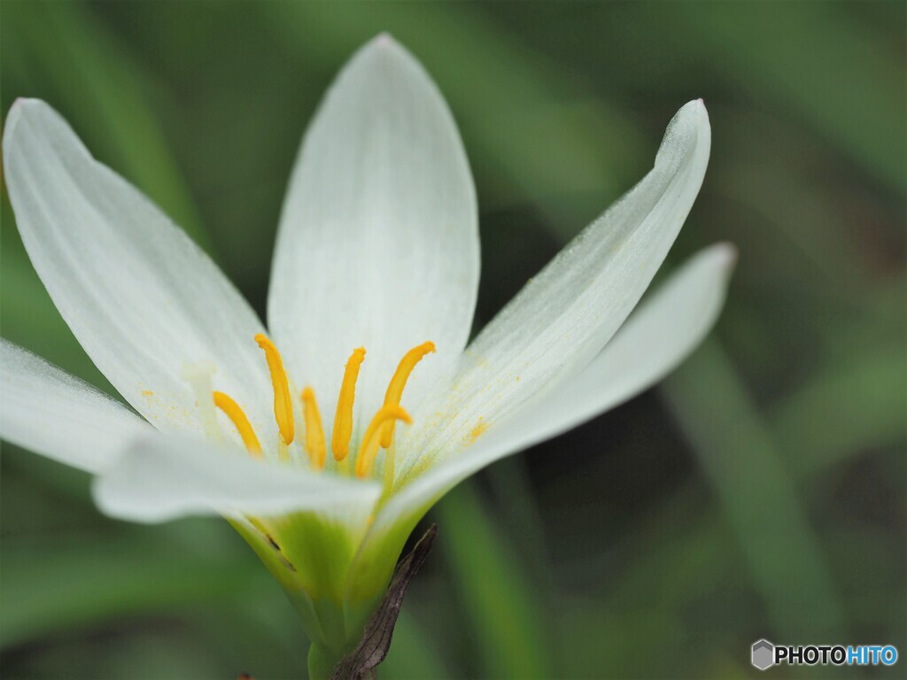 期待