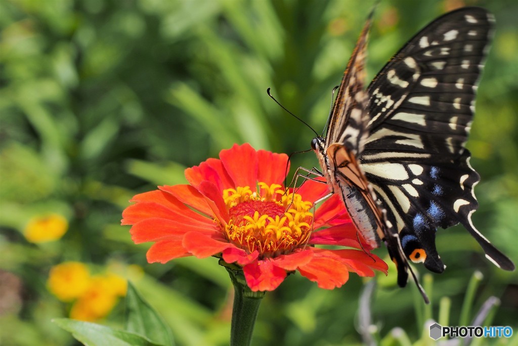 ダンサーの如く～①