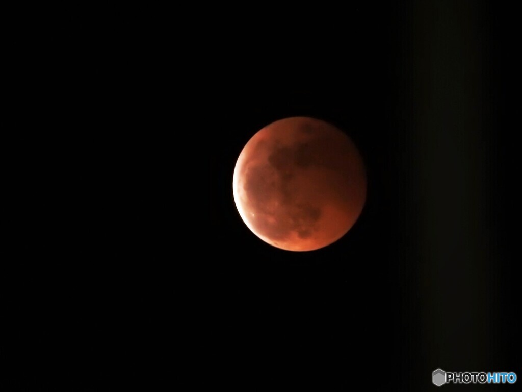 昨夜の月