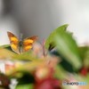 去年の今頃ー④