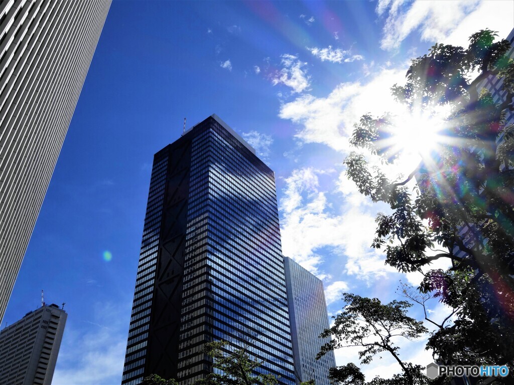 夏が戻った新都心～ⅱ