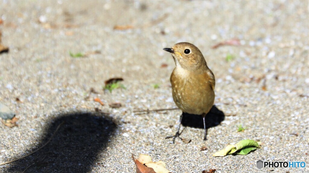 君の瞳に写るものは～、、、ⅰ