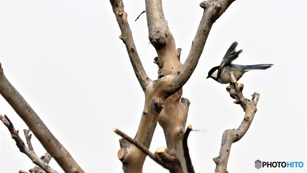 行くぞ～、、、！！