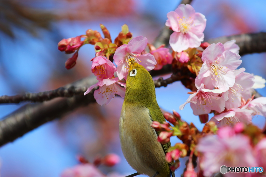足も写してよ～、、、。