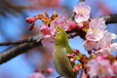 足も写してよ～、、、。