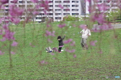 枝垂れ越しのシャボン玉おじさん