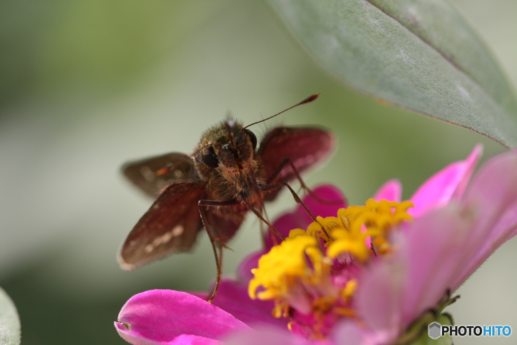 寄りすぎるなよ～