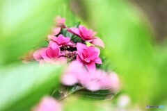 隙間を覗く、、、。