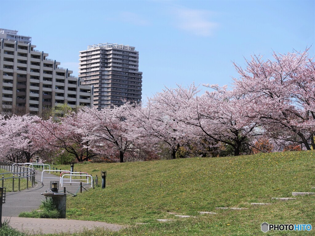 散歩道