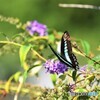 別れの季節～①