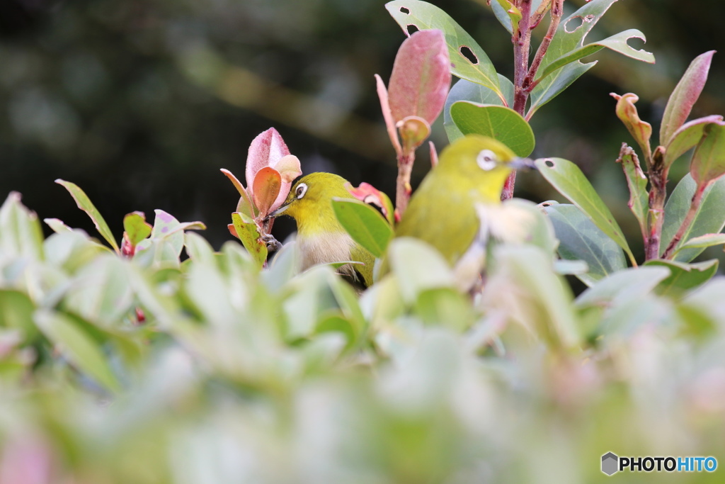 かくれんぼ～③